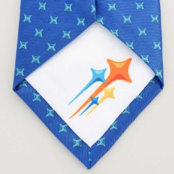 Photo5: 2024-2025 Theme Tie