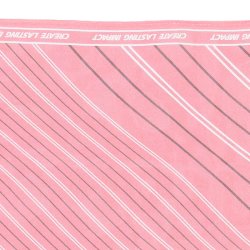 Photo3: RI Presidential Message Scarf