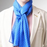 Photo: 2024-2025 Theme Scarf