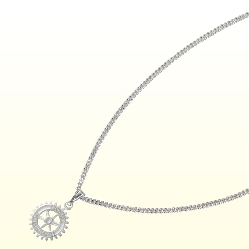 Photo1: Necklace/ Silver Color (1)